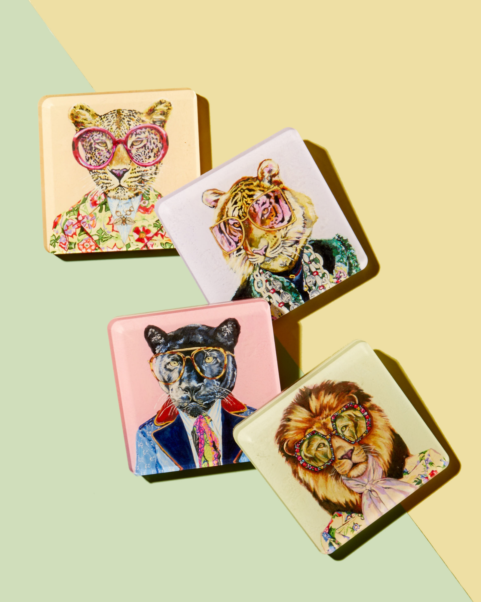 Big Cats | Set of 4 Coasters