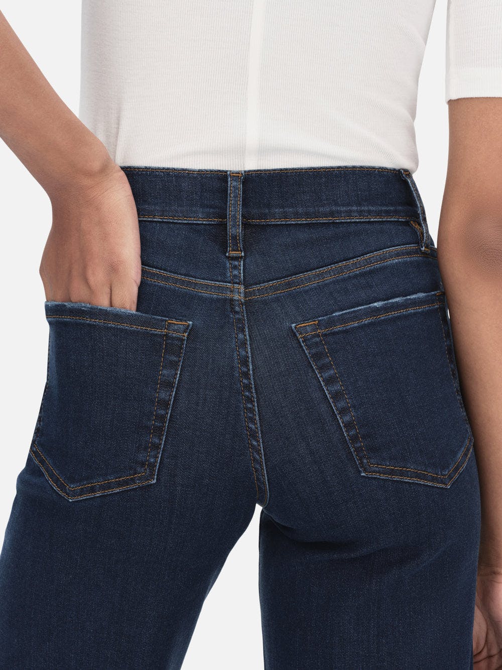 Le Palazzo Crop in Majesty