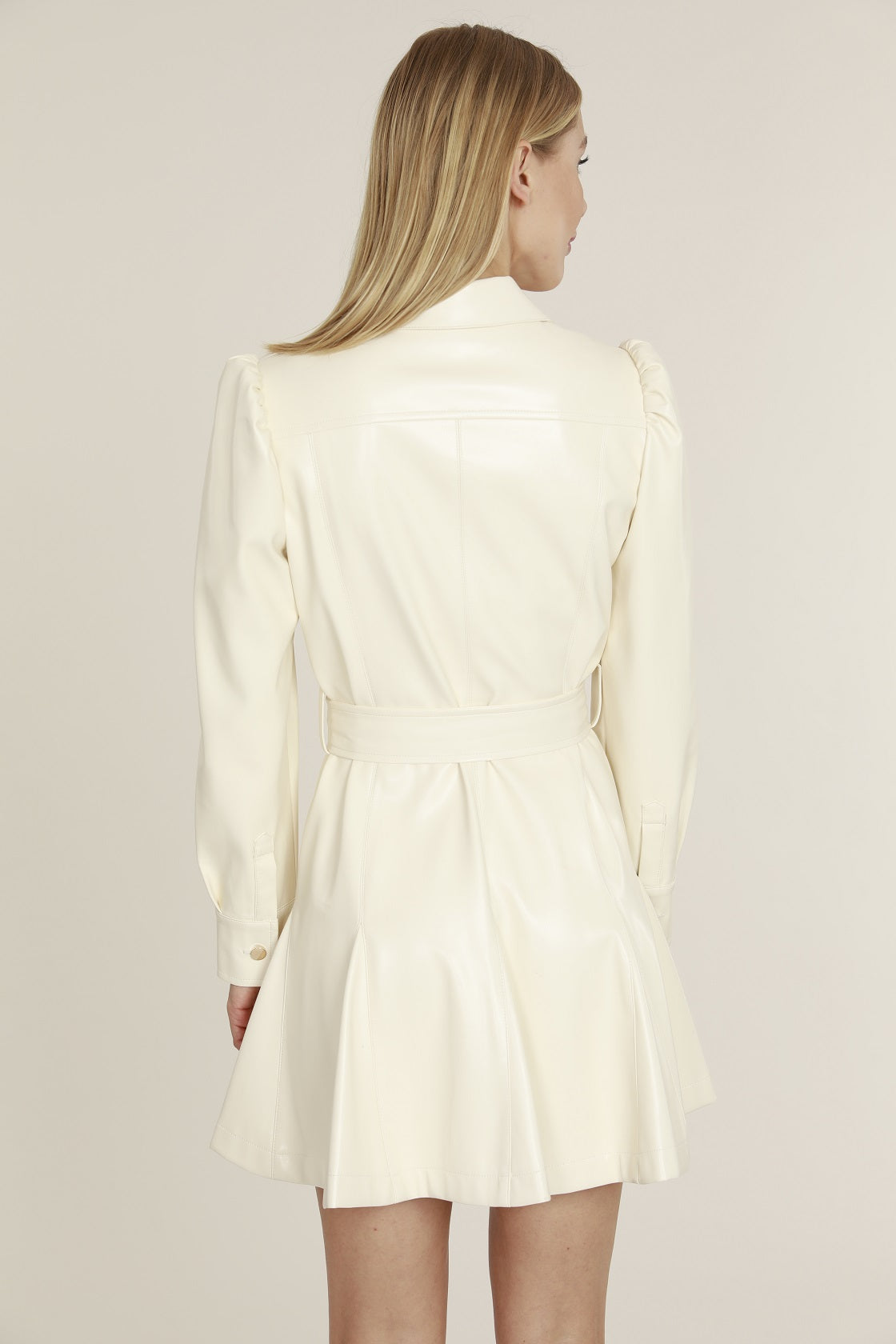 Charlotte Dress