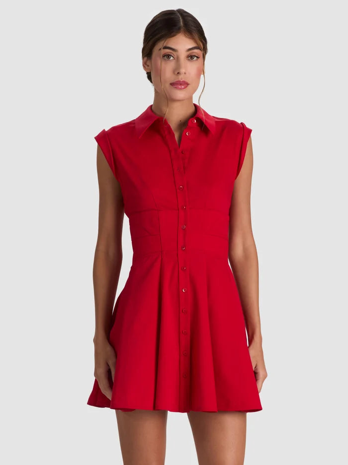 Kim Paneled Corset Flared Mini Shirt Dress